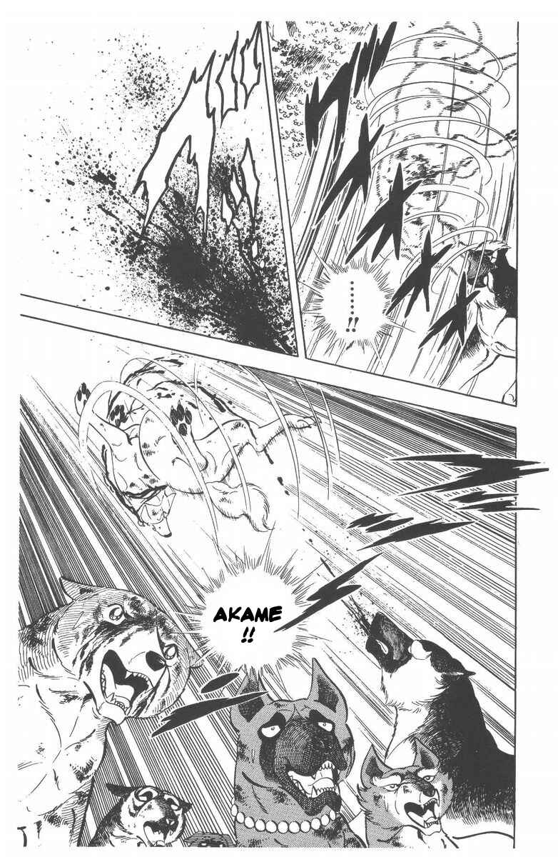 Page 46 Chapter 53 Silver Fang – The Shooting Star Gin –