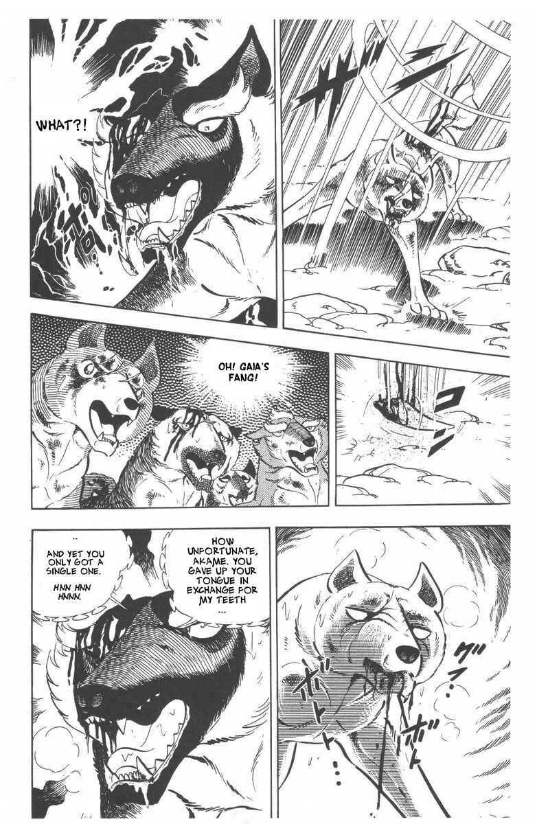 Page 47 Chapter 53 Silver Fang – The Shooting Star Gin –