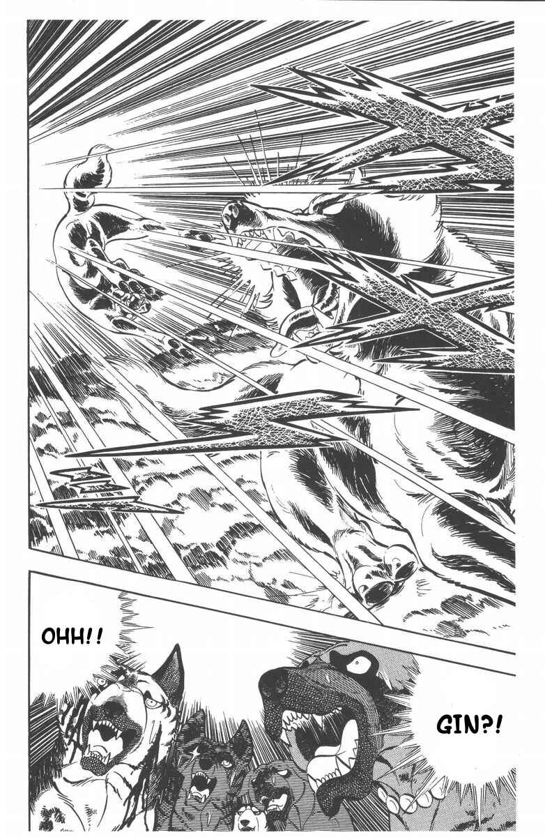 Page 57 Chapter 53 Silver Fang – The Shooting Star Gin –