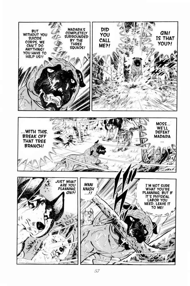 Page 11 Chapter 38 Silver Fang – The Shooting Star Gin –
