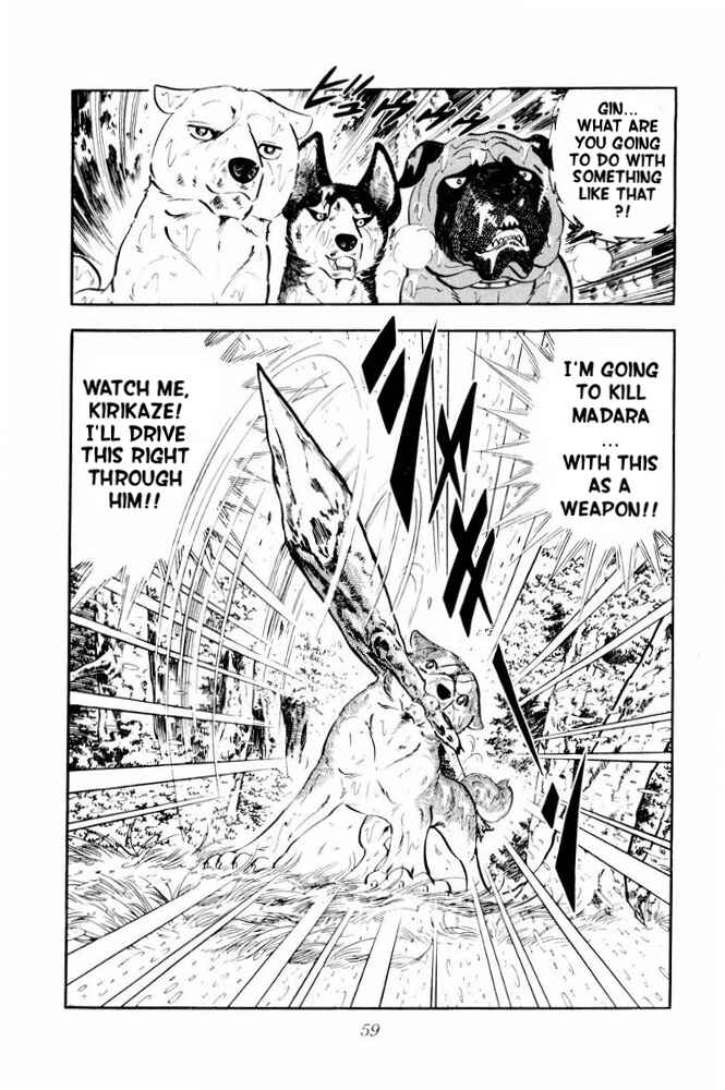Page 13 Chapter 38 Silver Fang – The Shooting Star Gin –
