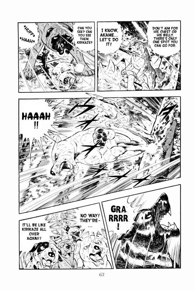 Page 17 Chapter 38 Silver Fang – The Shooting Star Gin –