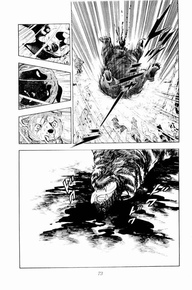 Page 27 Chapter 38 Silver Fang – The Shooting Star Gin –