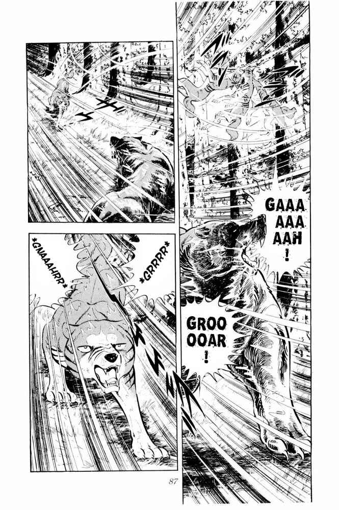Page 41 Chapter 38 Silver Fang – The Shooting Star Gin –