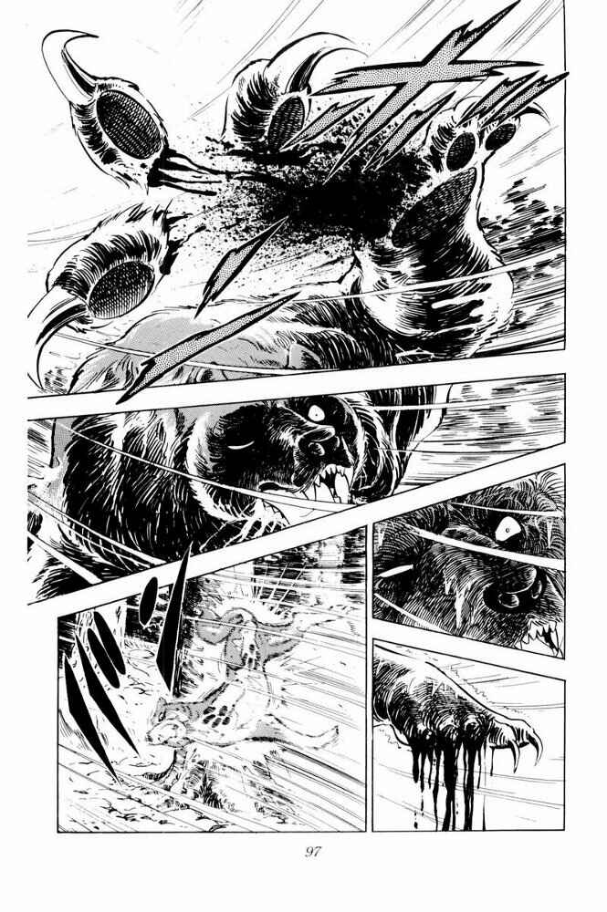 Page 51 Chapter 38 Silver Fang – The Shooting Star Gin –
