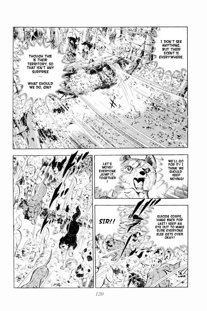 Page 72 Chapter 38 Silver Fang – The Shooting Star Gin –