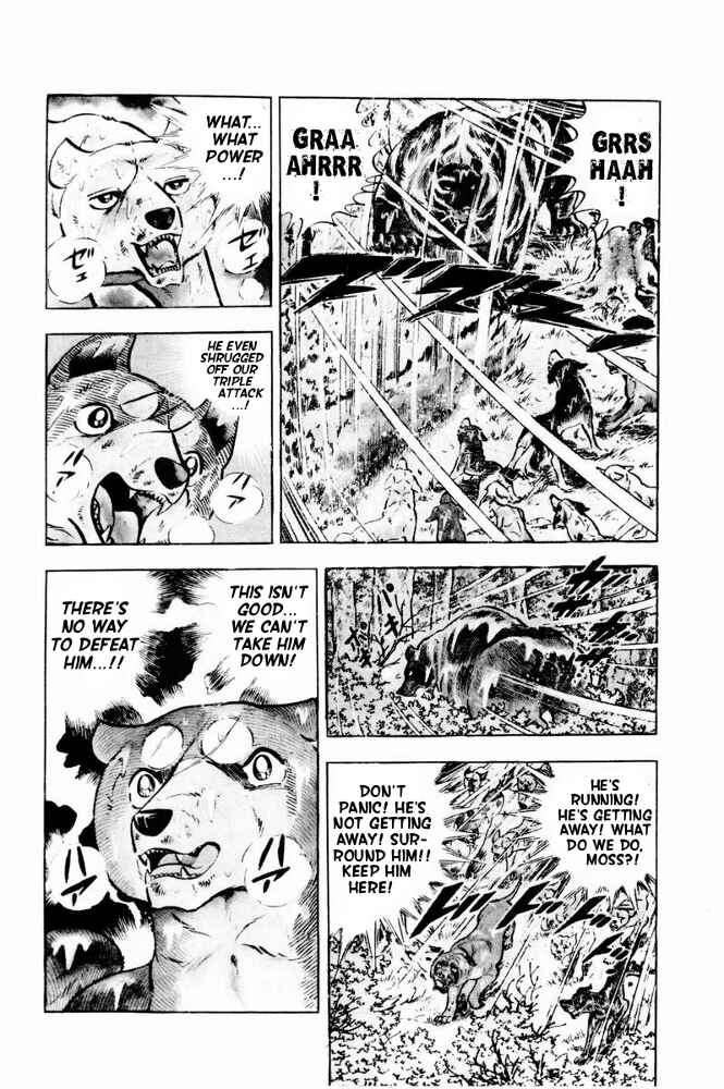 Page 8 Chapter 38 Silver Fang – The Shooting Star Gin –