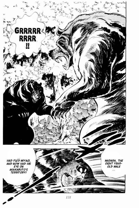 Page 14 Chapter 9 Silver Fang – The Shooting Star Gin –