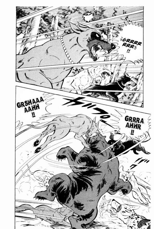 Page 33 Chapter 9 Silver Fang – The Shooting Star Gin –