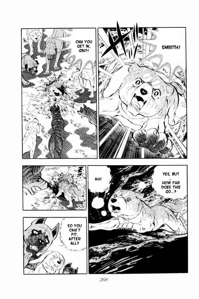 Page 3 Chapter 20 Silver Fang – The Shooting Star Gin –