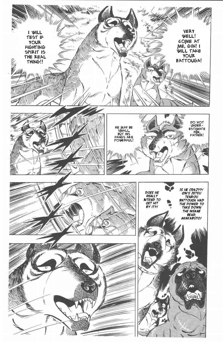 Page 22 Chapter 47 Silver Fang – The Shooting Star Gin –