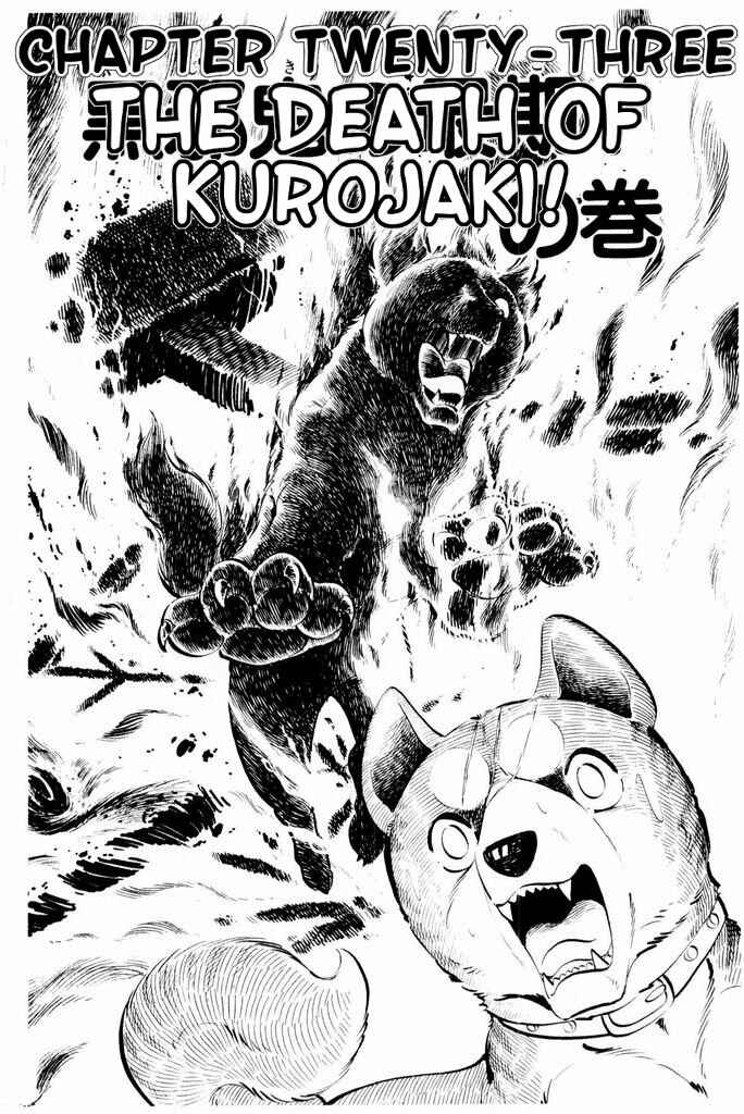 Page 1 Chapter 23 Silver Fang – The Shooting Star Gin –
