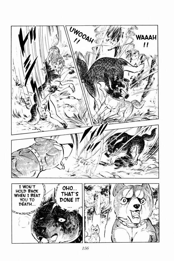 Page 14 Chapter 23 Silver Fang – The Shooting Star Gin –