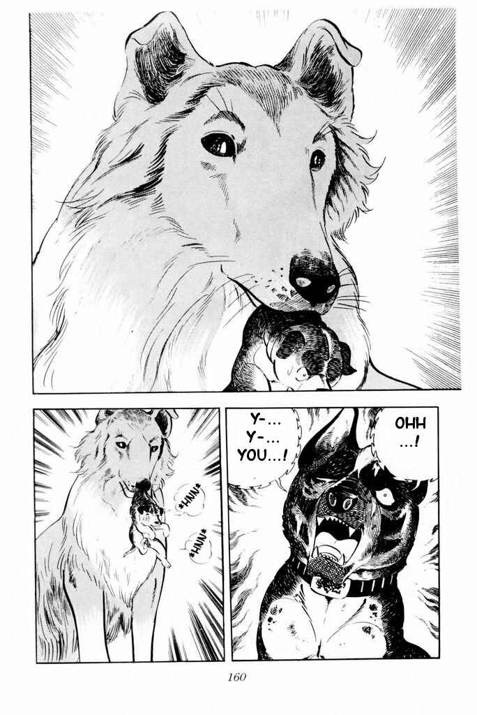 Page 18 Chapter 23 Silver Fang – The Shooting Star Gin –