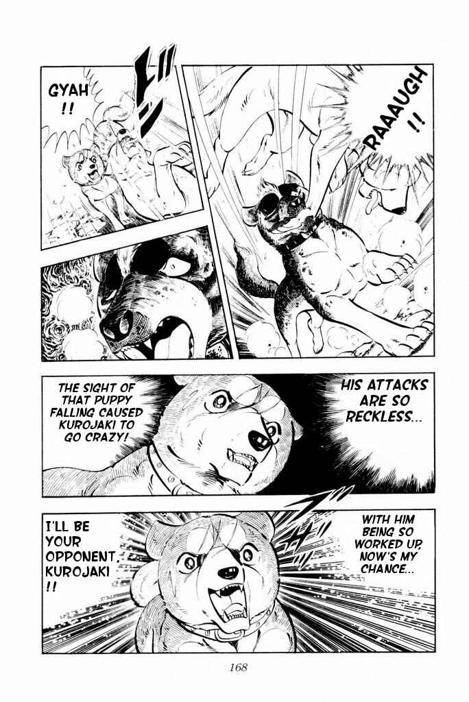 Page 26 Chapter 23 Silver Fang – The Shooting Star Gin –