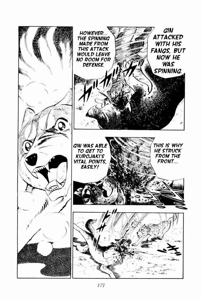 Page 29 Chapter 23 Silver Fang – The Shooting Star Gin –