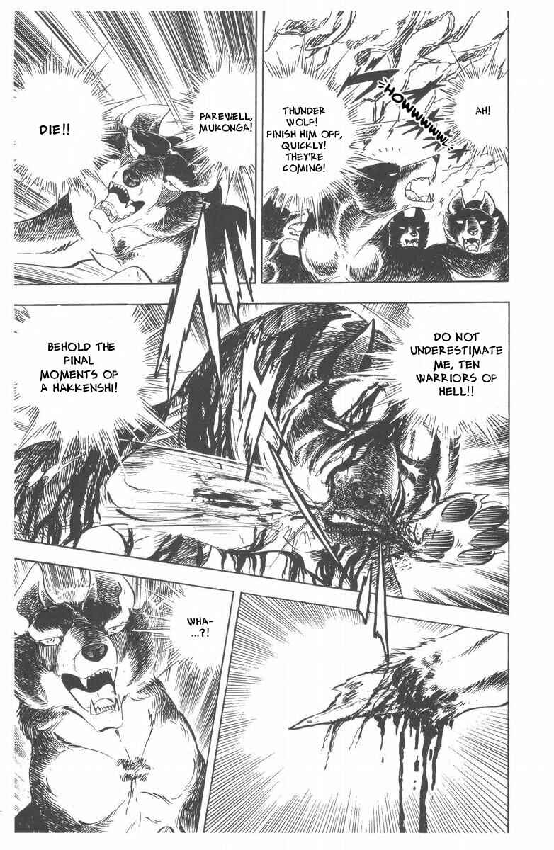 Page 35 Chapter 48 Silver Fang – The Shooting Star Gin –