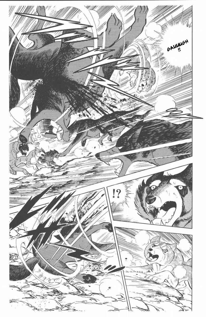 Page 45 Chapter 48 Silver Fang – The Shooting Star Gin –