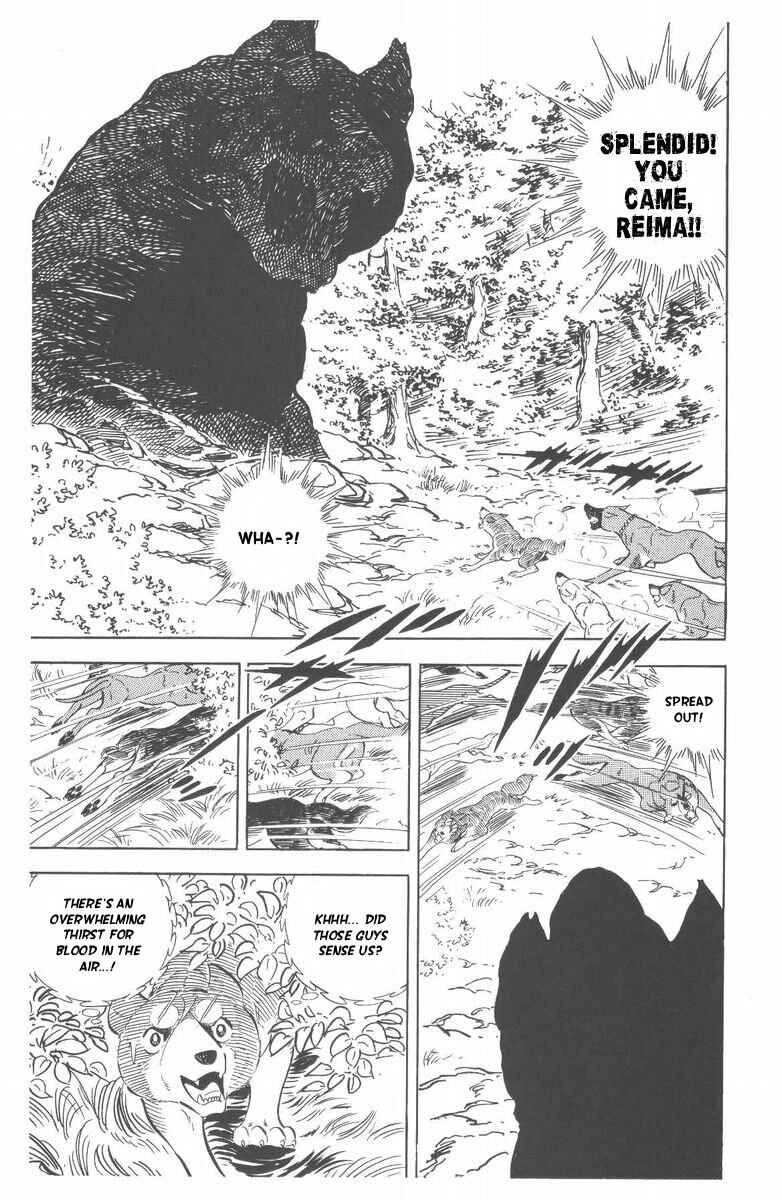 Page 72 Chapter 48 Silver Fang – The Shooting Star Gin –