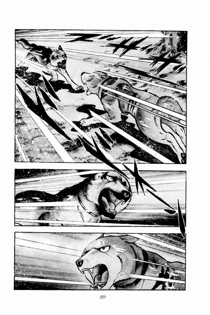 Page 4 Chapter 16 Silver Fang – The Shooting Star Gin –
