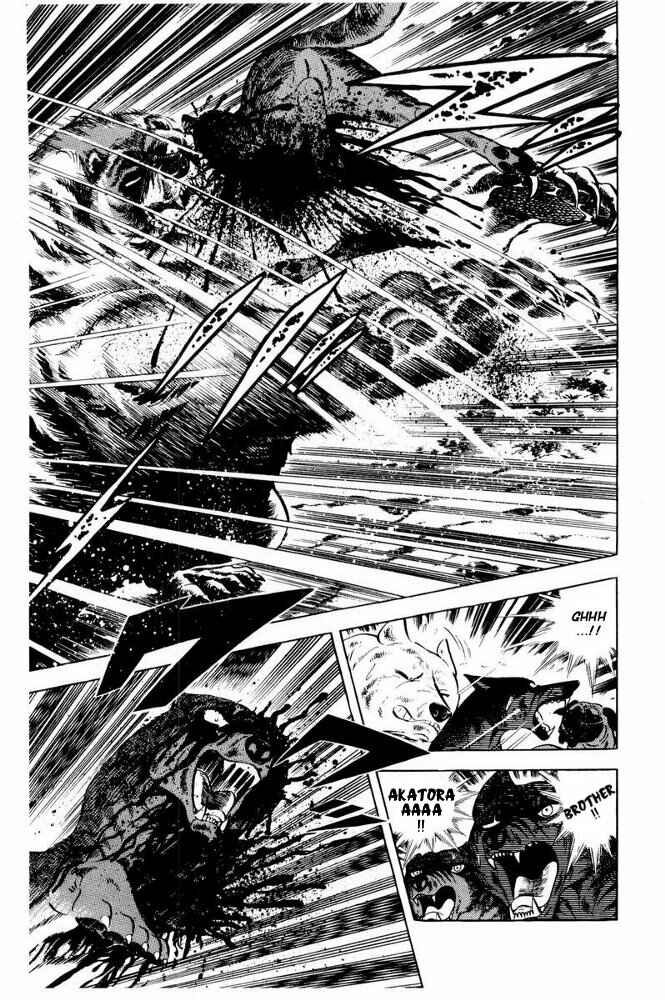 Page 104 Chapter 41 Silver Fang – The Shooting Star Gin –