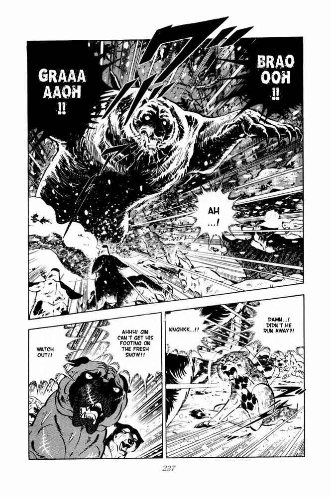 Page 17 Chapter 41 Silver Fang – The Shooting Star Gin –