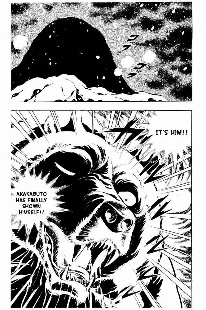 Page 28 Chapter 41 Silver Fang – The Shooting Star Gin –