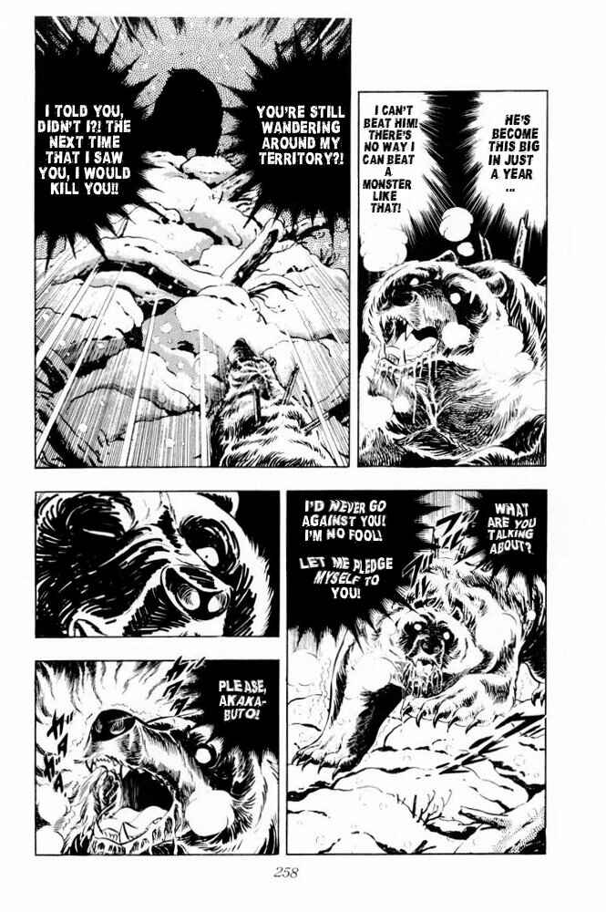 Page 36 Chapter 41 Silver Fang – The Shooting Star Gin –