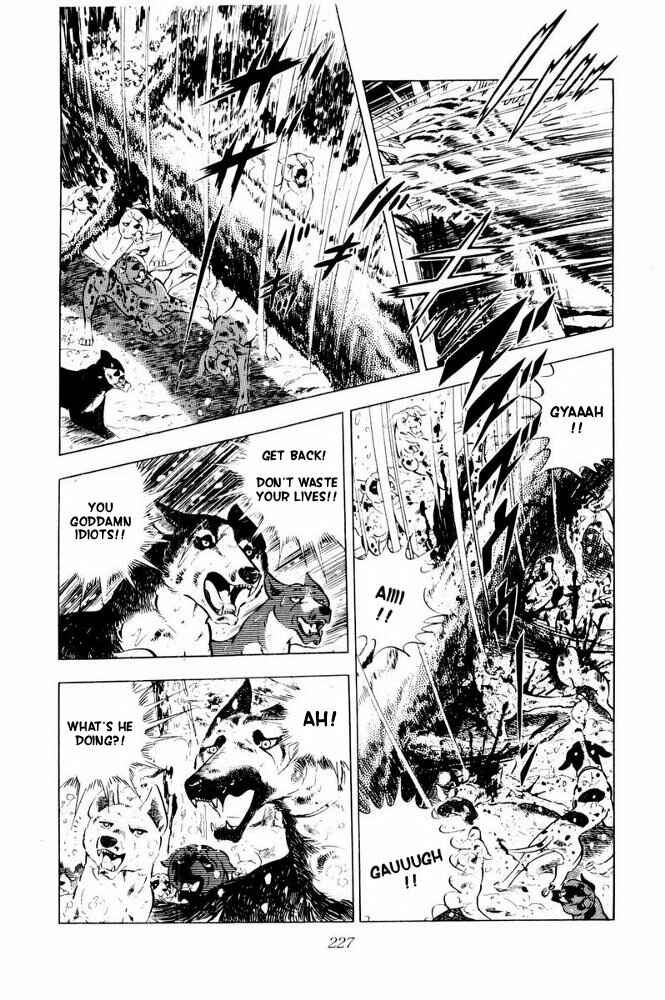 Page 7 Chapter 41 Silver Fang – The Shooting Star Gin –