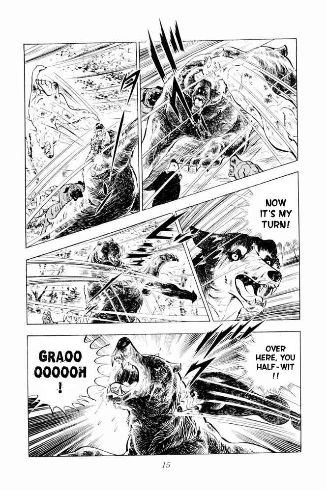 Page 17 Chapter 37 Silver Fang – The Shooting Star Gin –
