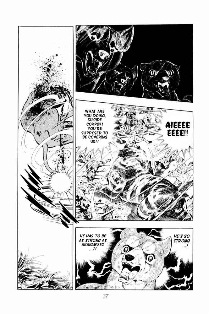 Page 39 Chapter 37 Silver Fang – The Shooting Star Gin –