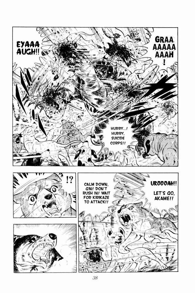 Page 40 Chapter 37 Silver Fang – The Shooting Star Gin –