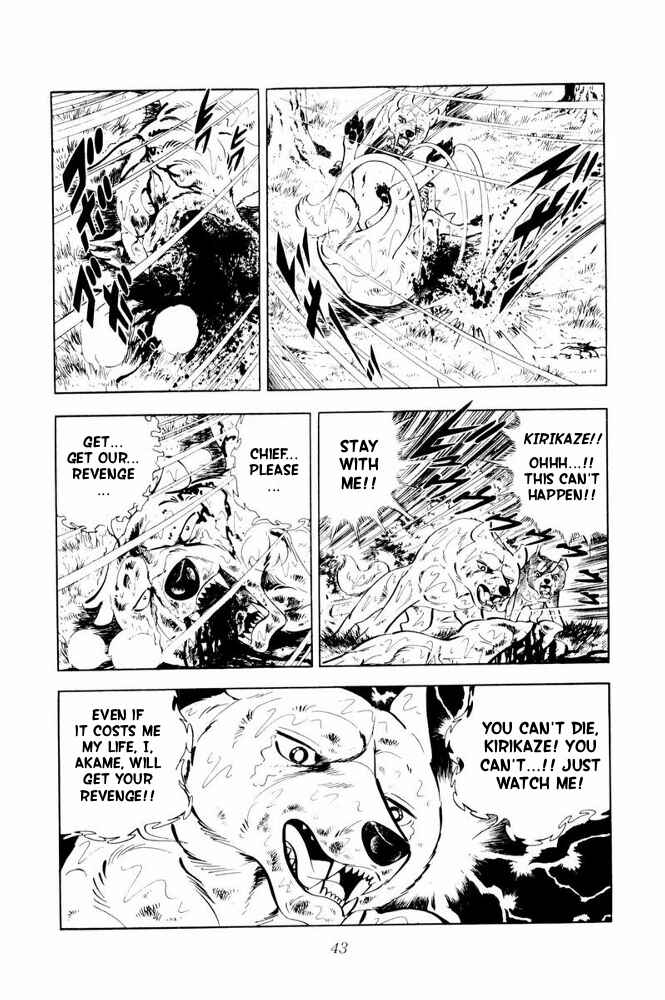 Page 45 Chapter 37 Silver Fang – The Shooting Star Gin –