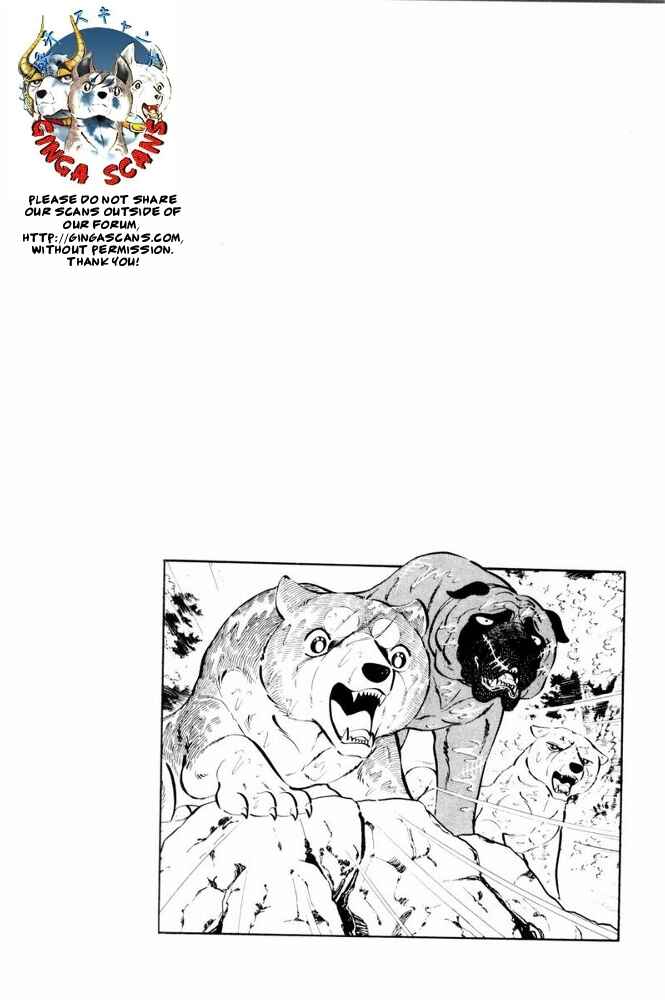 Page 48 Chapter 37 Silver Fang – The Shooting Star Gin –