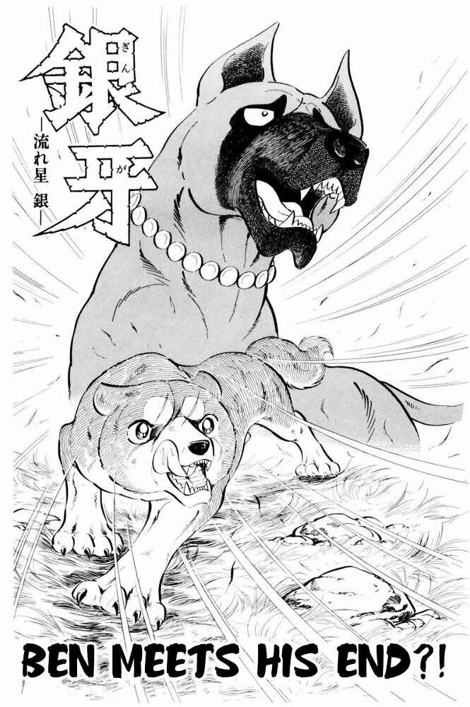 Page 7 Chapter 37 Silver Fang – The Shooting Star Gin –