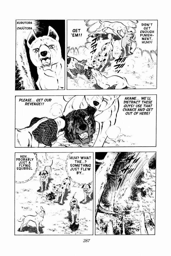 Page 14 Chapter 25 Silver Fang – The Shooting Star Gin –