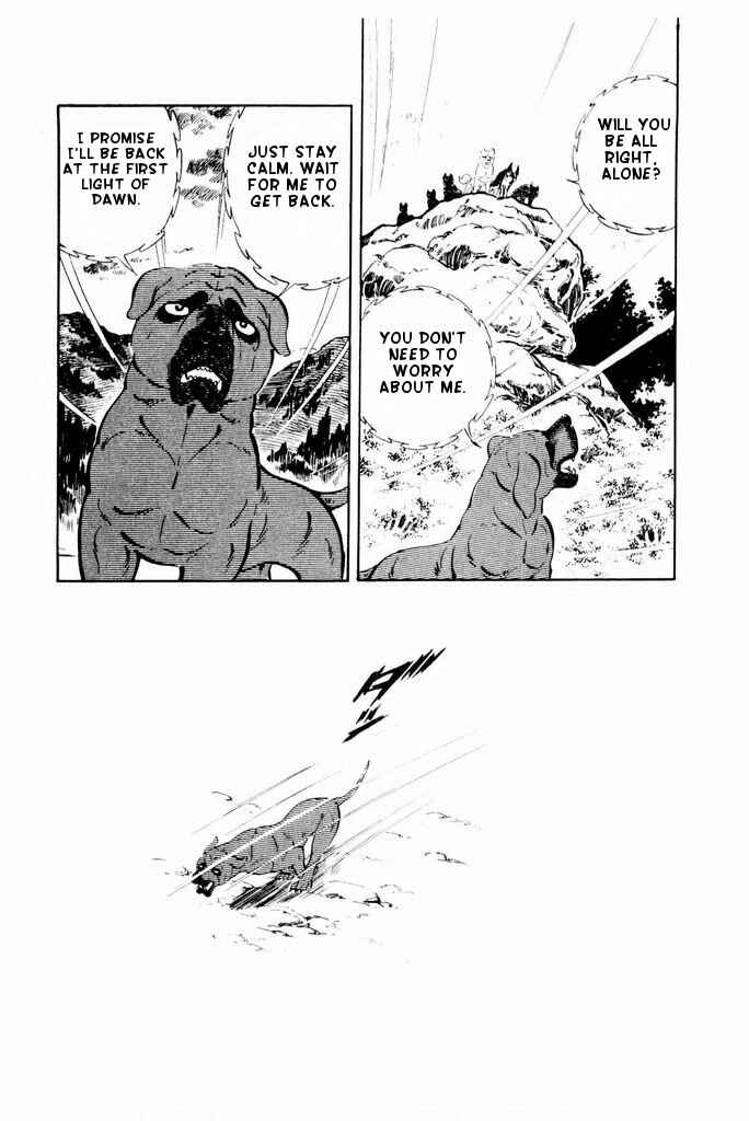 Page 18 Chapter 25 Silver Fang – The Shooting Star Gin –