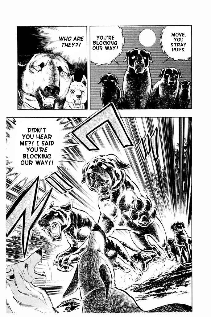 Page 30 Chapter 25 Silver Fang – The Shooting Star Gin –