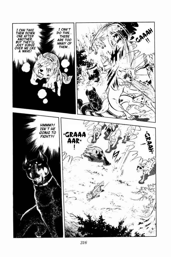 Page 42 Chapter 25 Silver Fang – The Shooting Star Gin –