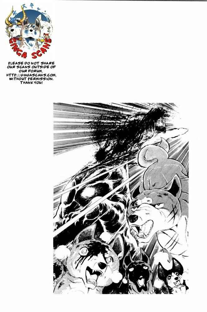 Page 22 Chapter 40 Silver Fang – The Shooting Star Gin –