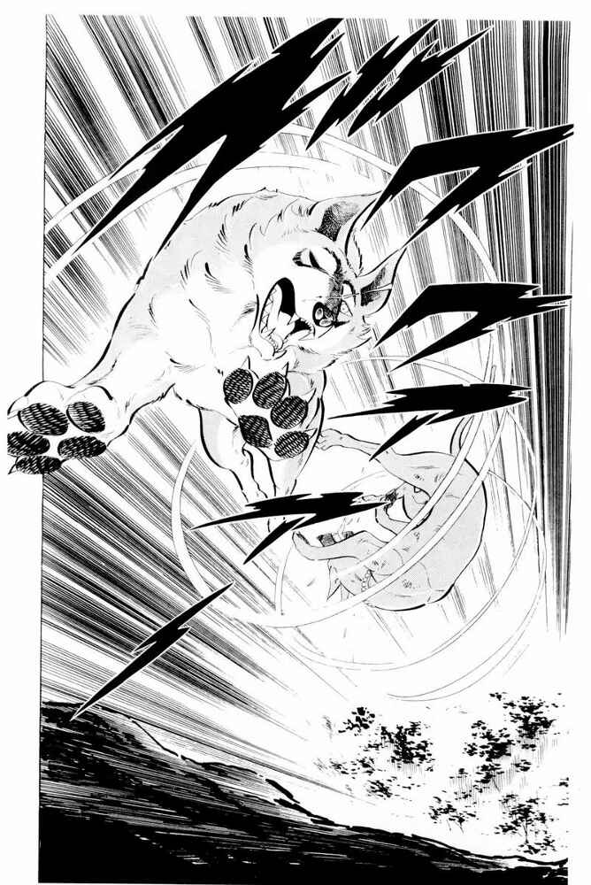 Page 21 Chapter 43 Silver Fang – The Shooting Star Gin –