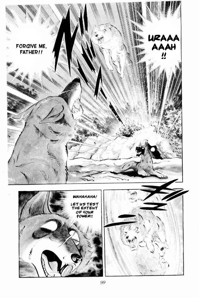 Page 28 Chapter 43 Silver Fang – The Shooting Star Gin –