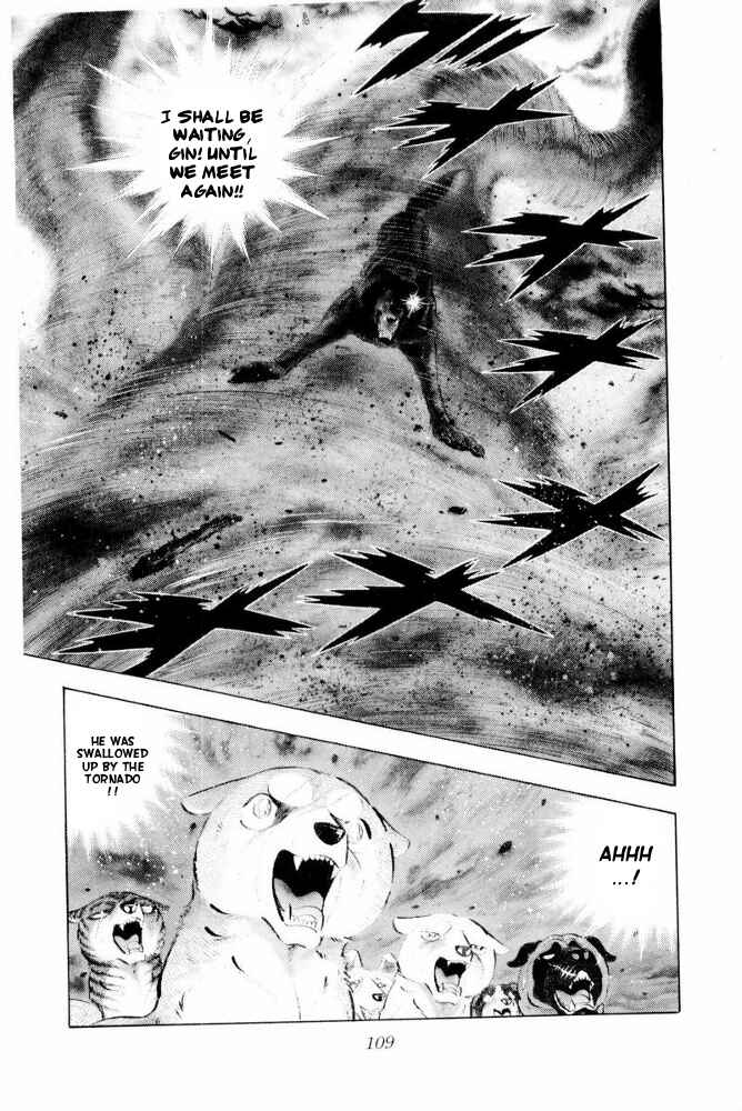 Page 35 Chapter 43 Silver Fang – The Shooting Star Gin –