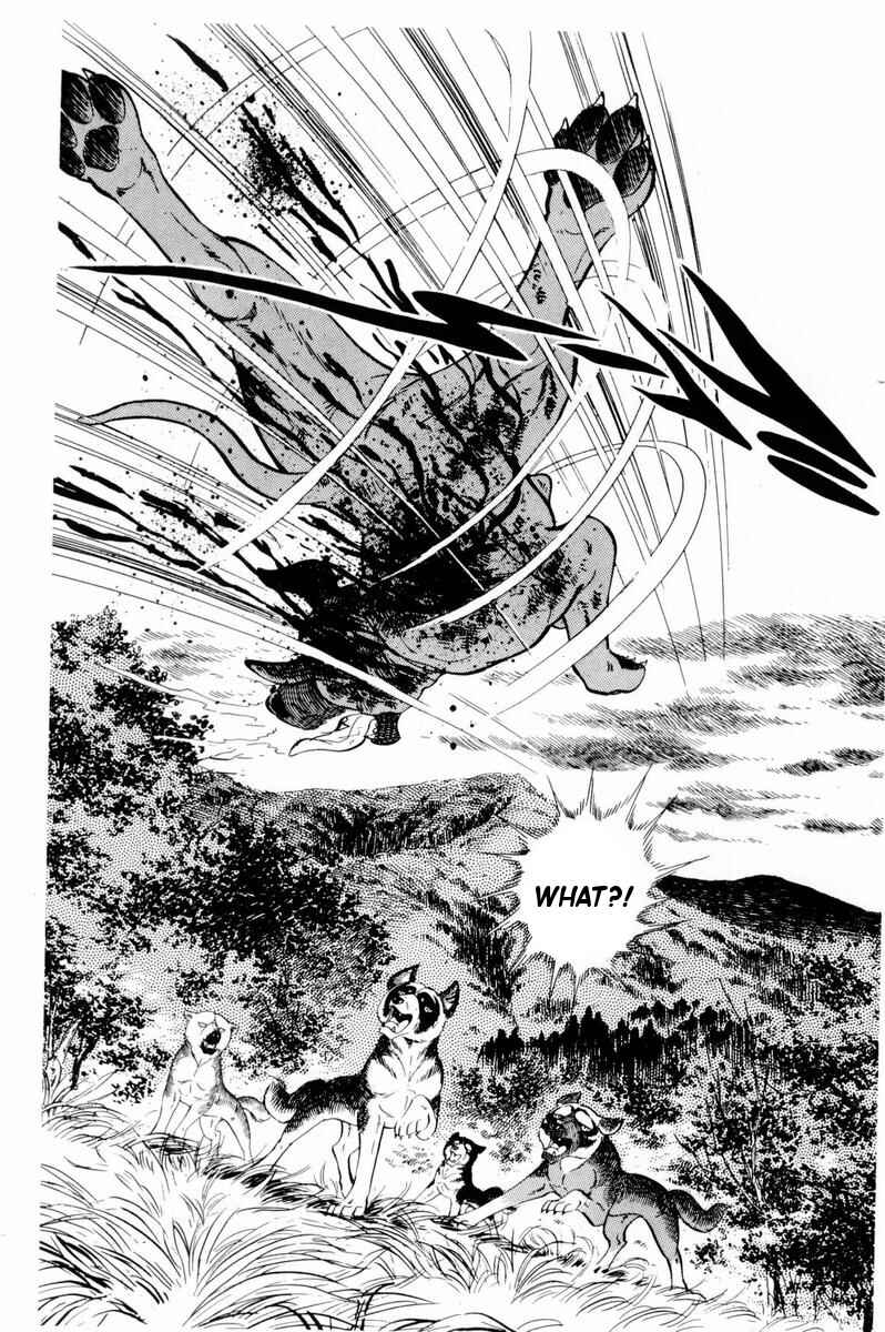 Page 2 Chapter 32 Silver Fang – The Shooting Star Gin –