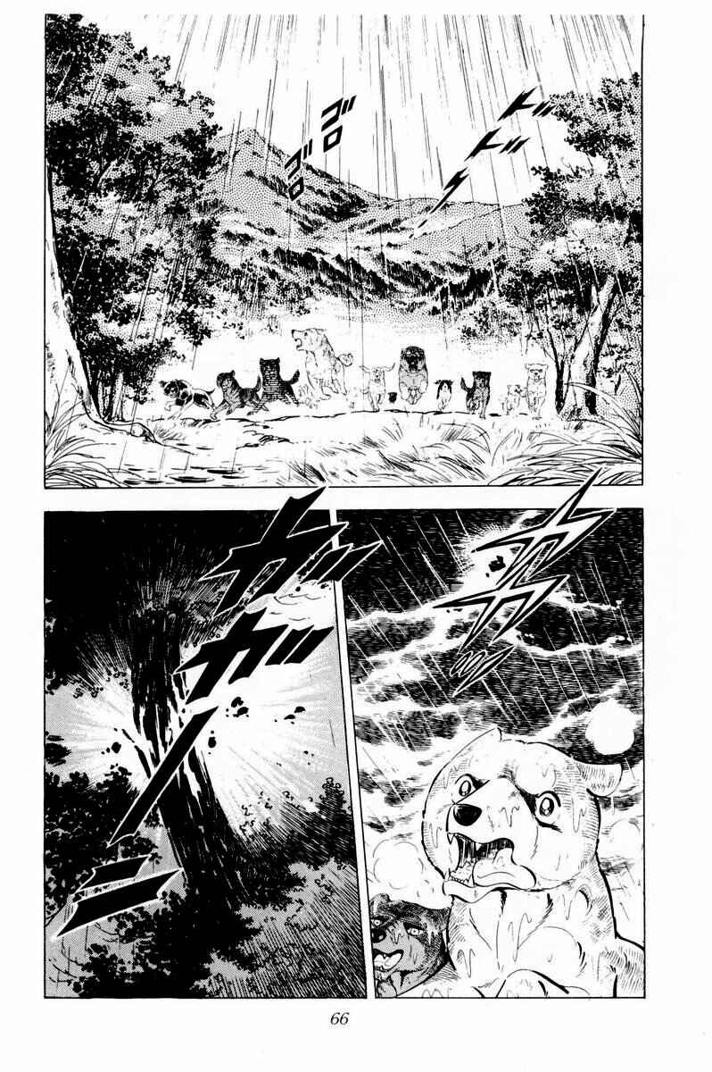 Page 20 Chapter 32 Silver Fang – The Shooting Star Gin –