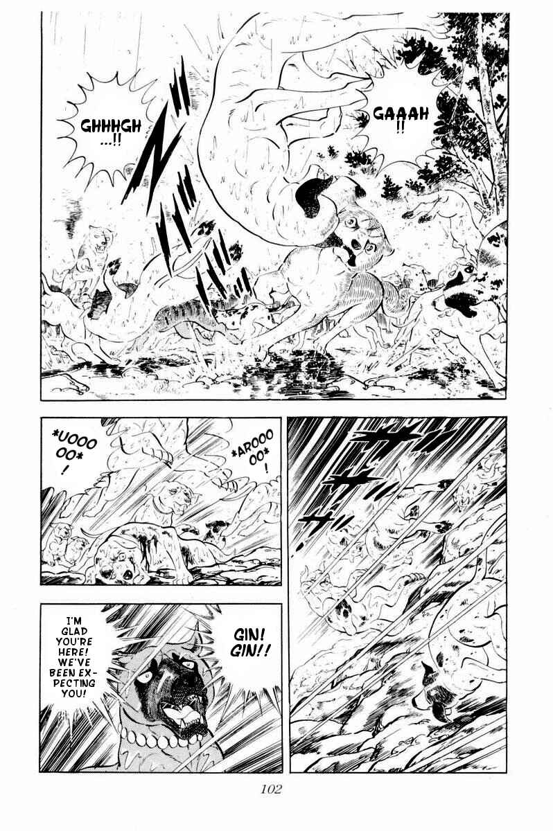 Page 55 Chapter 32 Silver Fang – The Shooting Star Gin –