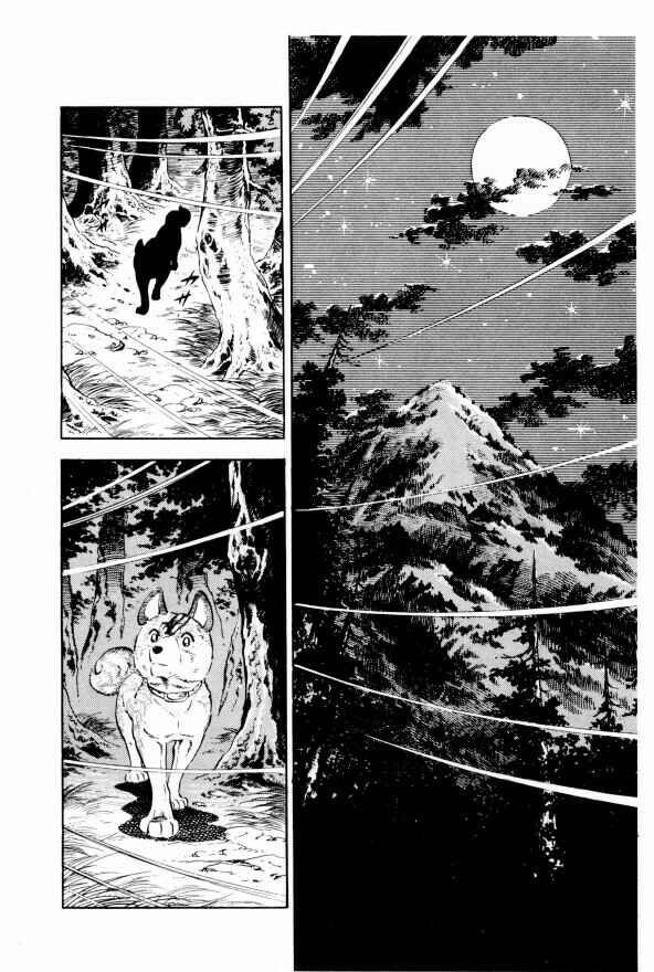 Page 11 Chapter 10 Silver Fang – The Shooting Star Gin –