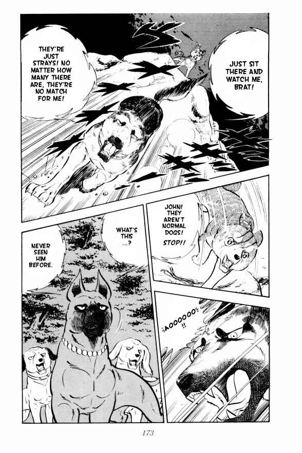 Page 16 Chapter 10 Silver Fang – The Shooting Star Gin –