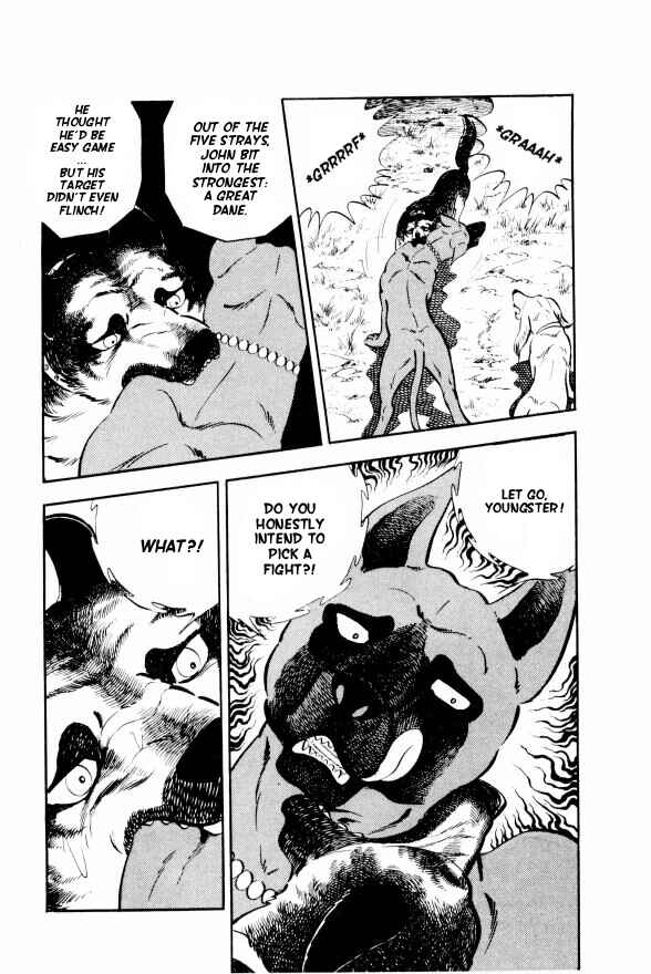 Page 18 Chapter 10 Silver Fang – The Shooting Star Gin –