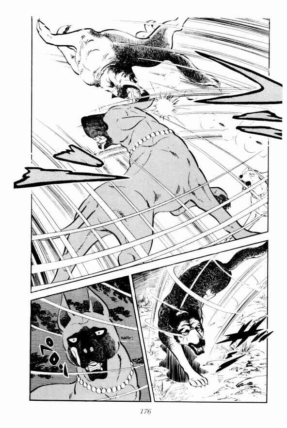 Page 19 Chapter 10 Silver Fang – The Shooting Star Gin –